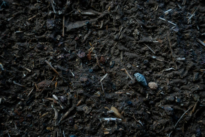 Close-up view of rich, dark soil with organic matter.